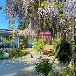 Guest house Wisteria